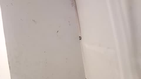 tall6feet7inch online show from 12/18/25, 07:36