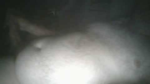 Snapshot of tallicas2000 chatting on 07/16/26, 01:44 tallicas2000 online show from 07/16/26, 01:44