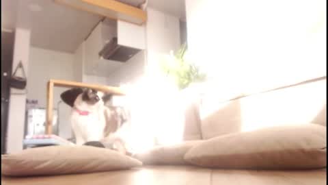 Snapshot of tamara_daniels chatting on 09/14/25, 09:58 Tamara online show from 09/14/25, 09:58