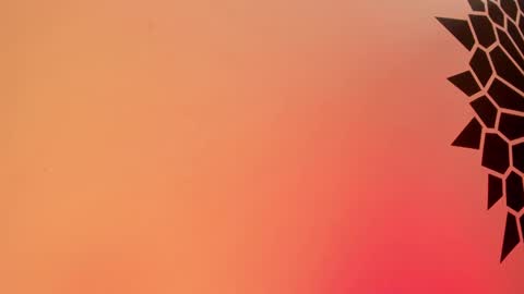 Tamara. online show from 02/25/25, 03:49