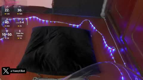 tamyeliot_ online show from 09/13/25, 04:34
