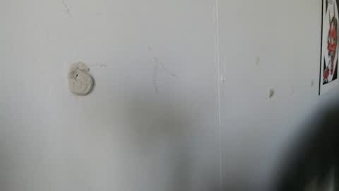 Evee  Jaxx online show from 06/12/26, 12:48