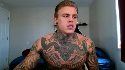 Snapshot of tatteddaddy9000 chatting on 09/25/25, 05:27 D-Man online show from 09/25/25, 05:27