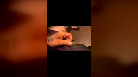 tattedtradie online show from 04/24/26, 09:01