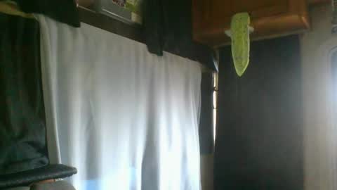 taylafox online show from 02/07/25, 09:26