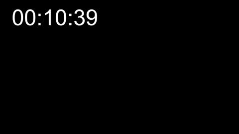 Taylor Bennet online show from 12/20/24, 10:22