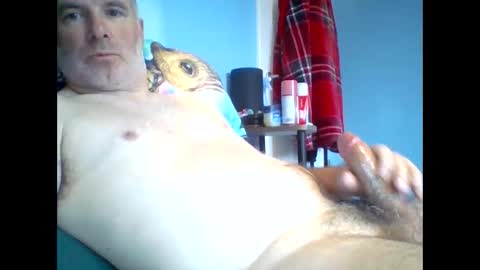 tazo78 online show from 11/09/25, 12:58