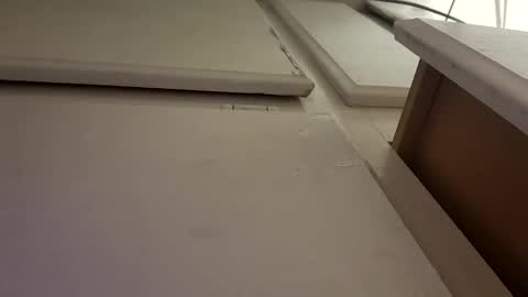 Snapshot of tboy833 chatting on 10/06/25, 10:02 Luis online show from 10/06/25, 10:02