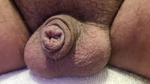 Snapshot of tboy833 chatting on 10/14/25, 12:22 Luis online show from 10/14/25, 12:22