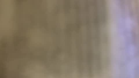 Snapshot of tboy833 chatting on 10/24/25, 12:30 Luis online show from 10/24/25, 12:30