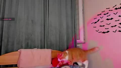 Snapshot of teaseme_bella chatting on 07/18/26, 07:17 teaseme_bella online show from 07/18/26, 07:17