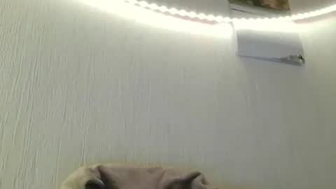 Peter online show from 07/08/26, 08:46