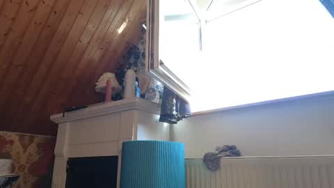 Tessa online show from 04/26/26, 02:04