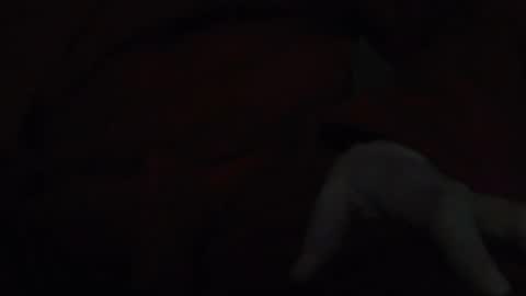 tetuo2 online show from 11/17/25, 05:13