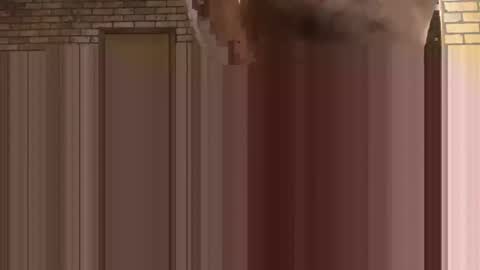 thatlover84 online show from 10/12/25, 01:04