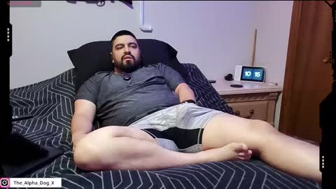 Snapshot of the_alpha_dog_xxx chatting on 11/17/25, 04:13 the_alpha_dog_xxx online show from 11/17/25, 04:13