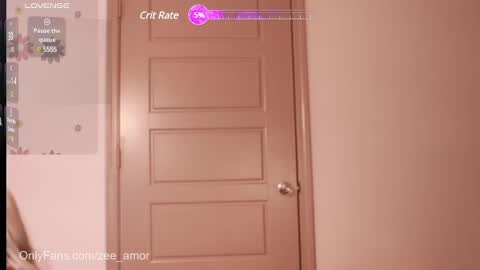 Snapshot of the_hippieprincess chatting on 01/05/25, 02:08 Zee Amor online show from 01/05/25, 02:08