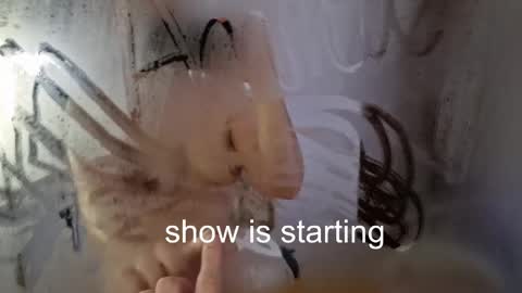 Anna online show from 05/23/26, 12:05