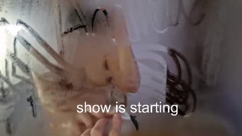 Anna online show from 07/11/26, 11:06