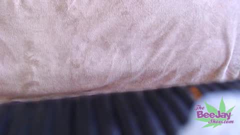 TheBeeJayShow online show from 12/04/24, 08:12