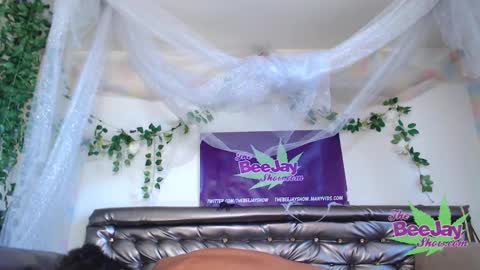 TheBeeJayShow online show from 12/04/24, 09:57