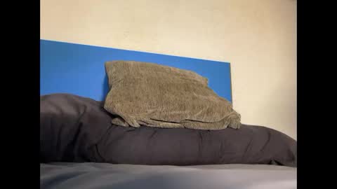 Snapshot of thebulge_b0y chatting on 10/20/25, 08:48 thebulge_b0y online show from 10/20/25, 08:48