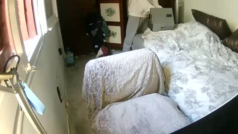 thebulgeboy online show from 01/28/25, 01:59