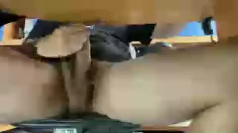 Snapshot of thecamenjoyer24 chatting on 06/12/26, 12:26 thecamenjoyer24 online show from 06/12/26, 12:26