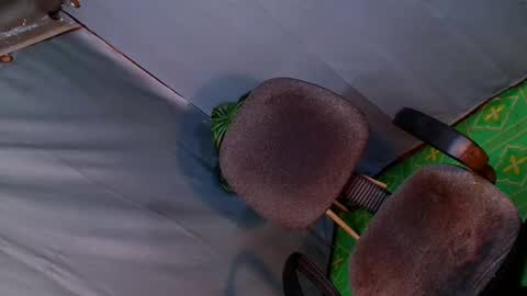 Lana But you can spell it backwards online show from 02/20/25, 03:23