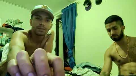 thehousedog online show from 02/25/25, 03:52