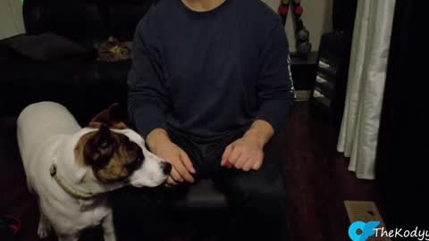 thekodyy online show from 10/21/25, 12:55