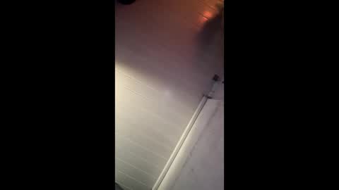 theonlyboi43ver online show from 12/27/24, 08:35