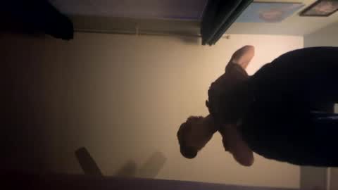 theonlyboi43ver online show from 01/02/25, 01:49