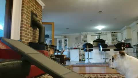 therealkurva4u online show from 09/25/25, 08:07