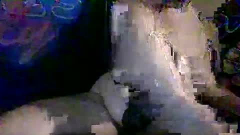 Snapshot of therealweedqueen420 chatting on 11/10/25, 06:40 Benni420 online show from 11/10/25, 06:40