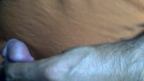 thesash online show from 02/28/25, 09:36