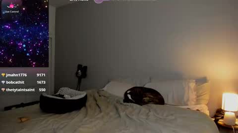 Selina Kyle online show from 01/24/25, 08:13