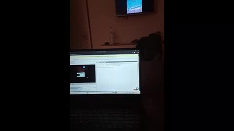 Snapshot of thesporttype chatting on 11/01/25, 07:27 thesporttype online show from 11/01/25, 07:27