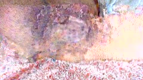 Snapshot of thetightestass14 chatting on 02/20/25, 08:36 thetightestass14 online show from 02/20/25, 08:36