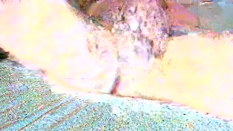 Snapshot of thetightestass14 chatting on 02/25/25, 10:47 thetightestass14 online show from 02/25/25, 10:47