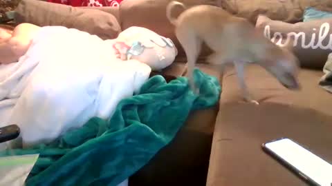 Snapshot of theycallmemellowthebreeze chatting on 02/05/25, 03:55 mellow online show from 02/05/25, 03:55