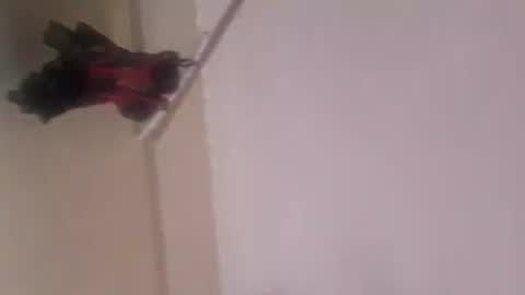 Snapshot of thomassr chatting on 11/05/25, 12:10 Thonas online show from 11/05/25, 12:10