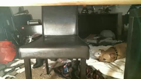 Thumper online show from 10/27/25, 01:15