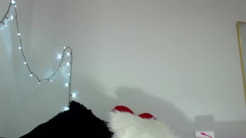 TIFANI online show from 03/11/25, 05:16