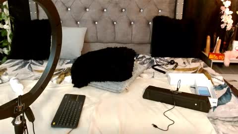 tiffany_sander online show from 03/01/25, 01:00