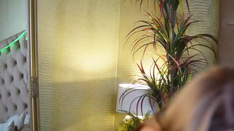 Snapshot of tiffanytrinity chatting on 11/07/25, 09:26 Tiffany online show from 11/07/25, 09:26