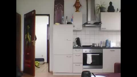 tigertrance online show from 03/11/25, 11:44