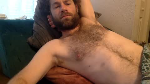 tigerzaddy online show from 12/08/24, 02:41