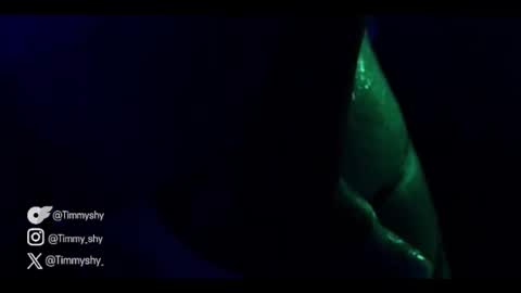 Snapshot of timmyshy chatting on 11/22/25, 09:14 timmyshy online show from 11/22/25, 09:14