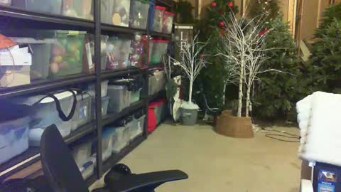 timtimmyyyy online show from 09/25/25, 01:20